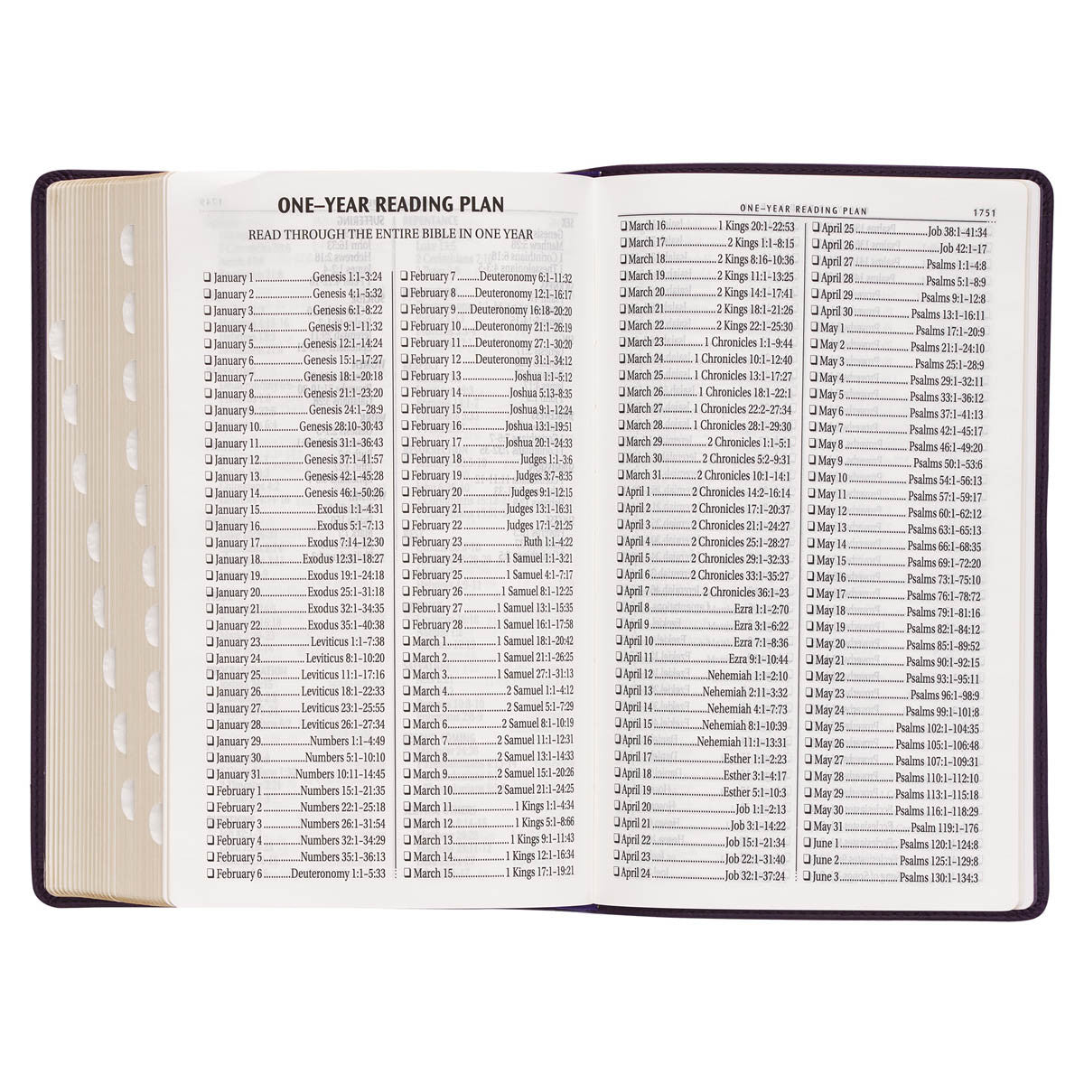 KJV Giant Print Bible - Purple Faux Leather Flexcover