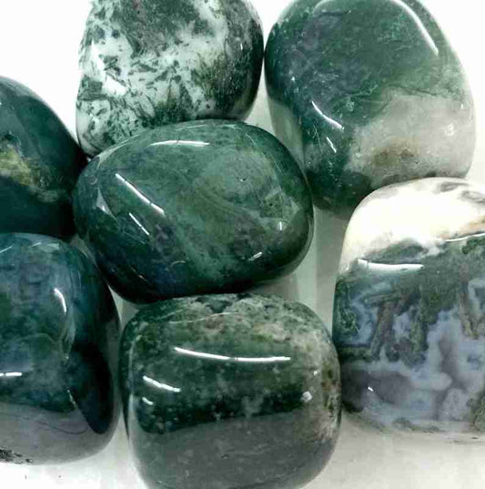 Moss Agate Tumbled Stone