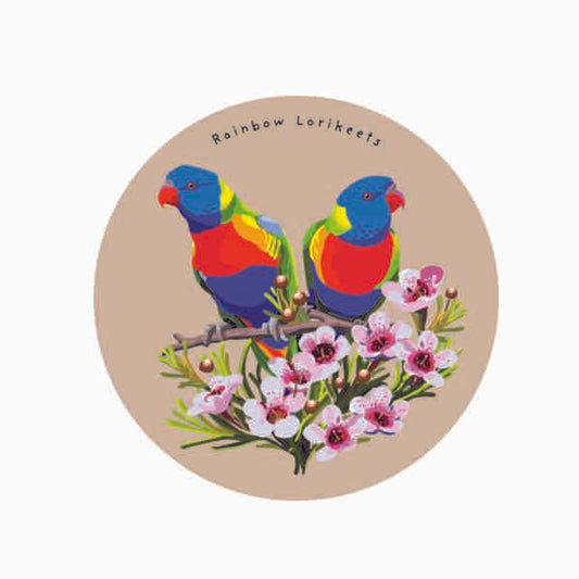 Rainbow Lorikeet Enviro Magnet